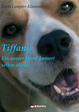 Tiffany, ein nasser Hund kommt selten allein